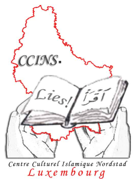 ccins logo