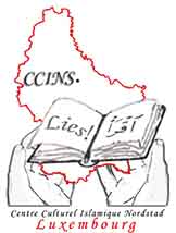 logo-ccins1