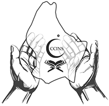 CCINS1
